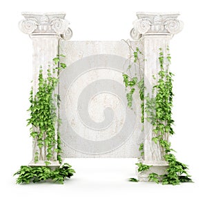 Vertical antiquity billboard covered with ivy