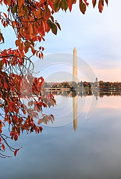 Vertical Autumn Washington DC Monument