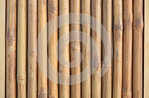 Vertical bamboo fence wall background