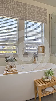 Vertical Bathtub and shower stall in front of windows with valance and blinds