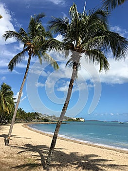 vertical beach sunny day Airlie Beach australia