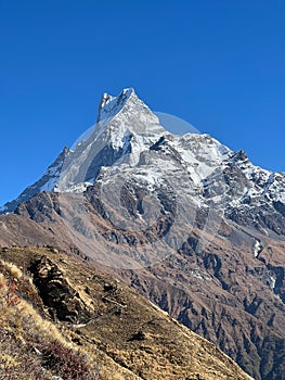 Vertical of the beautiful Machapuchre Mountain with snowy peak in Nepal against the sunny blue sky