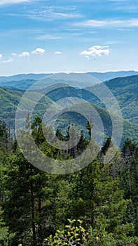 Vertical beautiful shot of the densely forested Rhodope mountain range in Bulgaria under blue sky