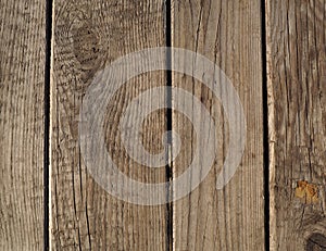 Vertical beige old plank texture - old wood background