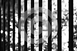 Vertical black and white prison cell bokeh background