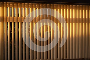 Vertical blinds with a golden glow as the sun sets.There is a tree and a view of the sea through the window