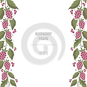 Vertical border composition with raspberries on foliate twigs.