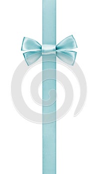 Vertical border with light blue color ribbon bow