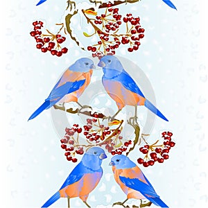 Vertical border seamless background birds Bluebirds thrush small songbirdon on snowy tree and berry winter background vintage ve