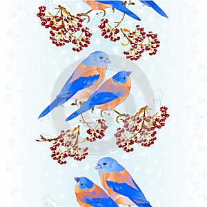 Vertical border seamless background birds Bluebirds thrush small songbirdon on snowy tree rowan berry winter background vintage