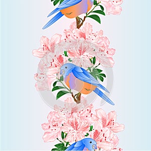 Vertical border seamless background small songbirdon Bluebird  thrush and light pink rhododendron spring background vintage vector