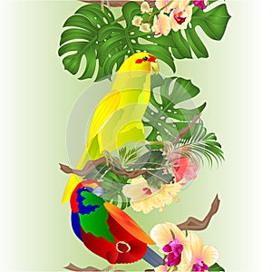 Vertical border seamless background tropical bird  and beautiful yellow parrot Indian Ringneck orchid  phalenopsis   and