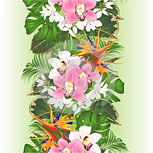 Vertical border seamless background tropical flowers  floral arrangement with beautiful Strelitzia  and white and pink orchids