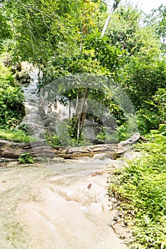 Vertical Bua Tong or Buatong Limestone waterfall in the jungle in Chiang Mai, Thailand. Limestone waterfall in the forest photo