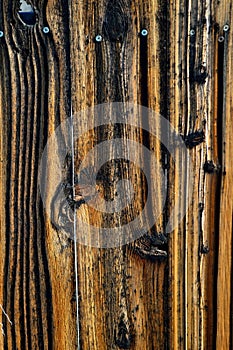 Vertical burned knot and wood grain pattern old fence