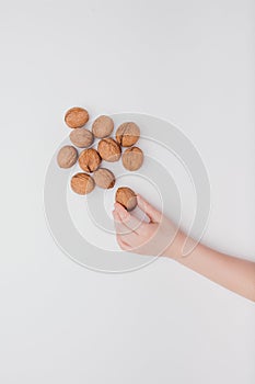 vertical, child hand with many walnuts isolated on white background,
