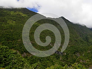 Vertical cliffs covered by tropical vegetation. Mafate circus, volcanic mountains of Reunion island, also called ramparts