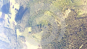 Vertical clip aerial view over forest summer landscape