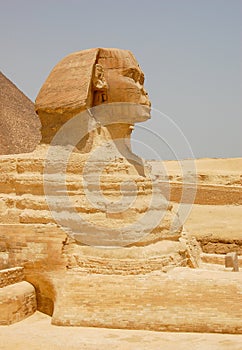 Vertical close-up view of the famous Sphinx of Giza, with the Great Pyramid in the background, in Cairo, Egypt.