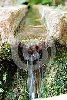 Vertical Close up Water Fountain in Quinta das lÃÂ¡grimas, Coimbra, Portugal photo