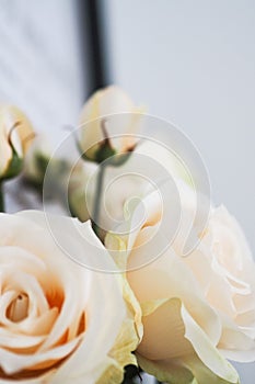 Vertical closeup of a beautiful bouquet of white roses