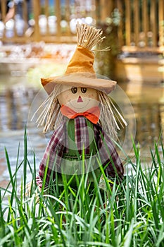 Vertical closeup of a happy scarecrow captured outdoors behind the green grass