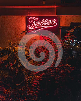 Vertical closeup of a neon tattoo salon sign on a wall illuminated at night