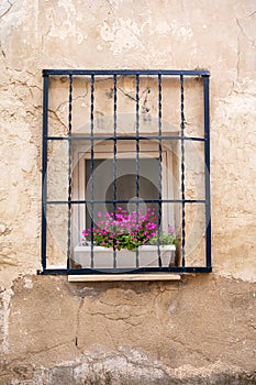 Vertical closeup of old window with window box with flowers