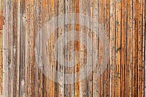 Vertical closeup of old wooden plank wall, brown wooden background, fence or floor panels