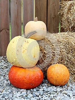 Vertical closeup of orange, white, yellow pumpkins with a haybale.