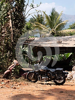 Vertical closeup of a royal Enfield against old mopet classical indian shet trees background