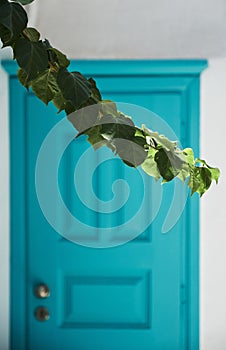 Vertical closeup shot of a branch of leaves in front of a blue door of a house in Mykonos, Greece