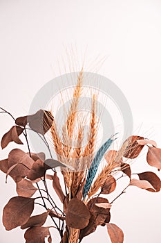 Vertical closeup shot of dried leaves and wheat branches isolated on a white background