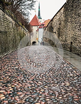 Vertical closeup shot of the narrow cobblestone road of Long Boot (Pikk Jalg) in Tallinn