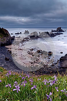 Vertical of a cloudy sunrise over the sea at Ecola State Park, Oregon, USA