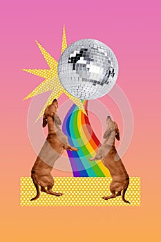 Vertical collage creative design photo of animals dancing carefree disco ball party cute pets dachshund rainbow isolated