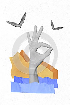 Vertical collage illustration of human arm black white gamma demonstrate okey symbol small hands birds flight paper