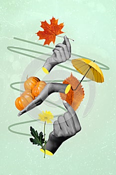 Vertical collage illustration of human hands black white gamma hold autumn maple leaf pumpkin flower umbrella 