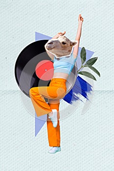 Vertical collage image of dancing girl camel head big vinyl record plant leaves isolated on creative paper background