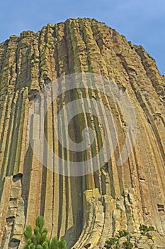 Vertical Column Details in a Monolith