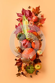 Vertical composition of fall harvest, pumpkins, corncob, colorful leaves. View from above. Thanksgiving Day and Halloween