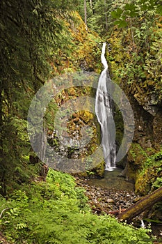 A vertical composition of Pinard falls