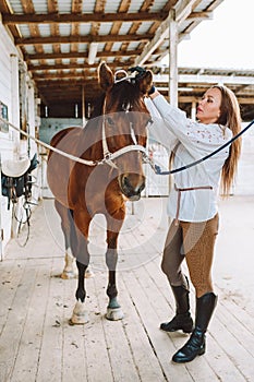 Vertical confident horse woman equestrienne, putting on harness. Grooming brushing horse, mane, snout. Animal care.