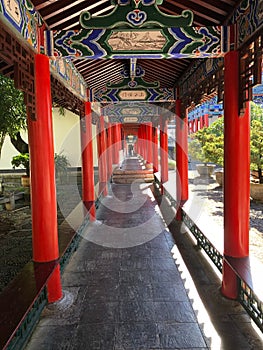 Vertical of a corridor of Torii gates in a Japanese Shinto shrine