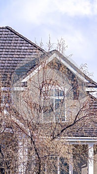 Vertical crop Brown leafless trees in front of luxurious family home against cloud filled sky