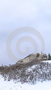 Vertical crop Homes atop gentle hill slopes with fresh snow and leafless bushes in winter