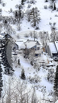 Vertical crop Park City mountain slope with houses amid fresh snow and evergreens in winter