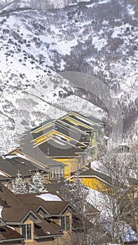 Vertical crop Rows of snowy houses built on the frosted slope of Wasatch Mountains in winter