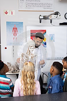 Vertical of diverse male teacher and schoolchildren studying skeleton in biology class, copy space