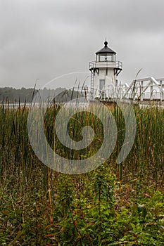 Vertical Doubling Point Lighthouse Cattails in Foreground